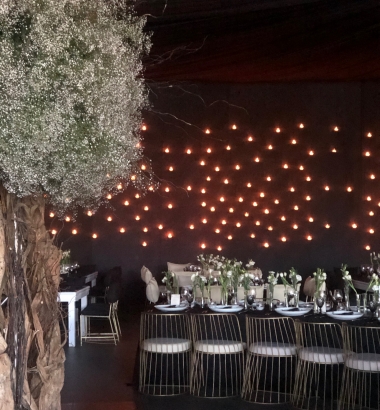  - wedding planner,mexico